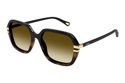 Solbriller Chloé CH0204S 003