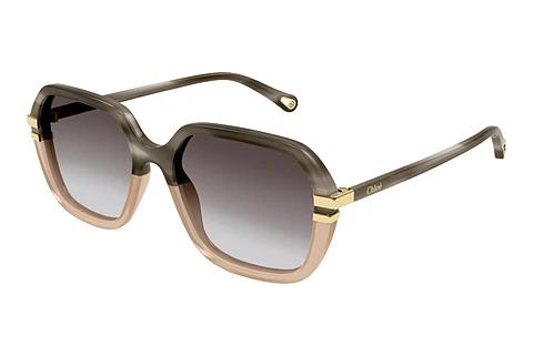 Solbriller Chloé CH0204S 004