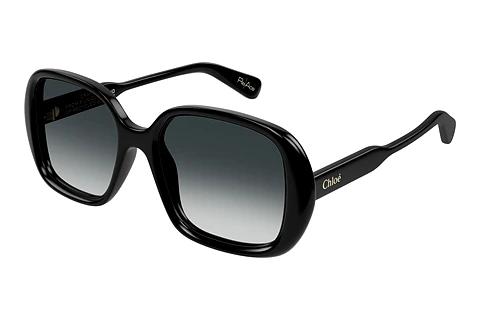 Solbriller Chloé CH0222S 001