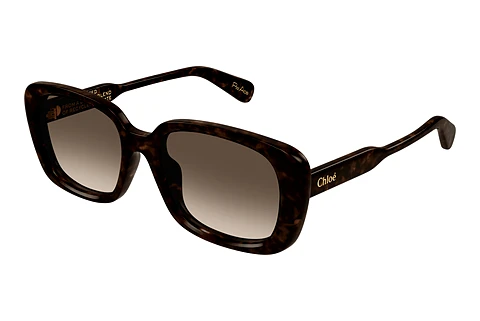 Solbriller Chloé CH0225SK 002