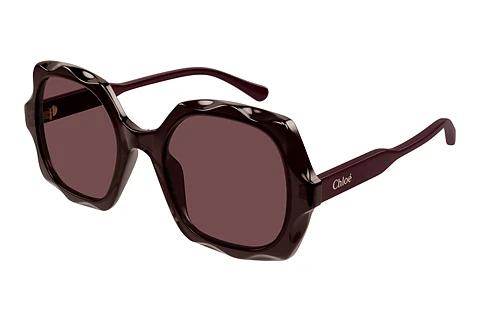 Solbriller Chloé CH0226S 002
