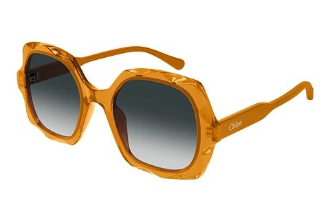 Solbriller Chloé CH0226S 004