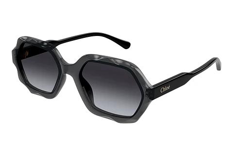 Solbriller Chloé CH0227S 001