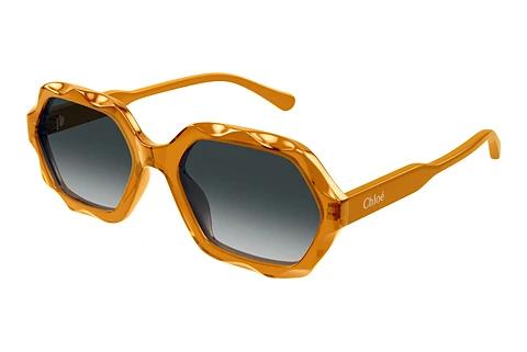 Solbriller Chloé CH0227S 004