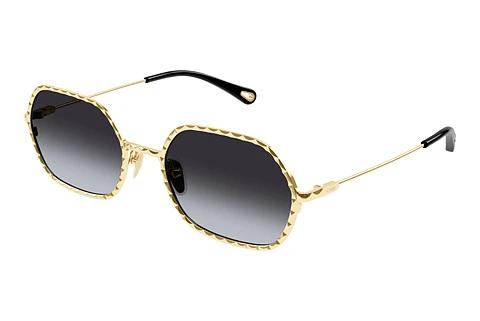 Solbriller Chloé CH0231S 001