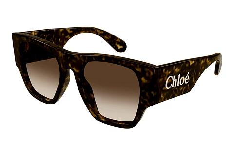 Solbriller Chloé CH0233S 002