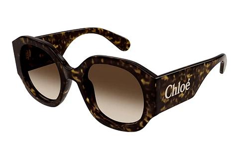 Solbriller Chloé CH0234SK 002