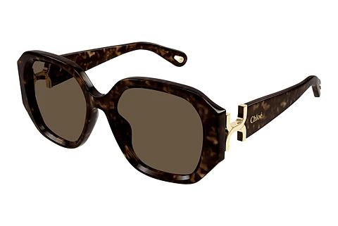 Solbriller Chloé CH0236S 002