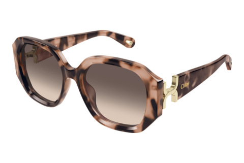 Solbriller Chloé CH0236S 005