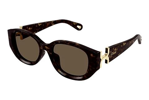 Solbriller Chloé CH0237SK 002