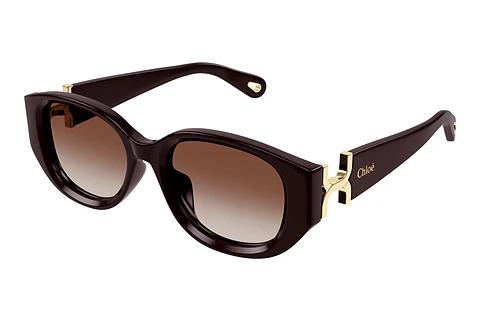 Solbriller Chloé CH0237SK 003