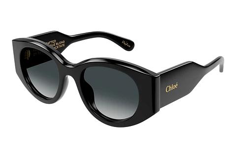 Solbriller Chloé CH0251S 001