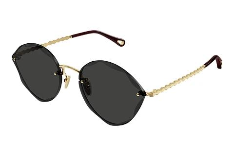 Solbriller Chloé CH0253S 001