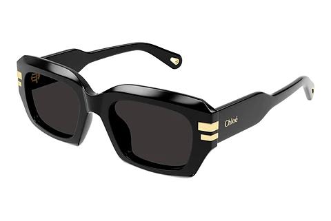 Solbriller Chloé CH0256S 001