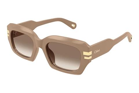 Solbriller Chloé CH0256S 005