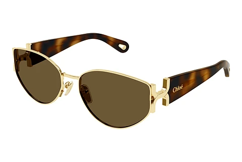 Solbriller Chloé CH0260S 002