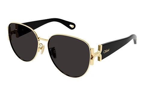 Solbriller Chloé CH0261SK 001