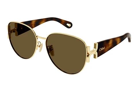 Solbriller Chloé CH0261SK 002