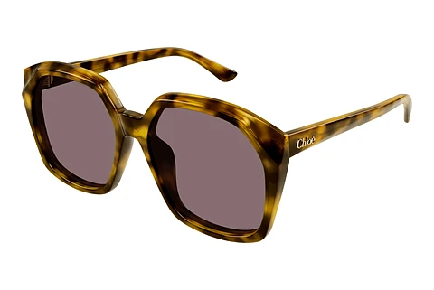 Solbriller Chloé CH0280S 004