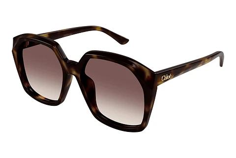 Solbriller Chloé CH0280S 006
