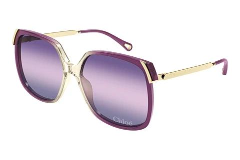Solbriller Chloé CH0286S 006