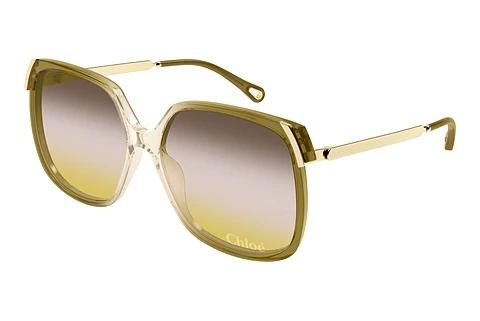 Solbriller Chloé CH0286S 008