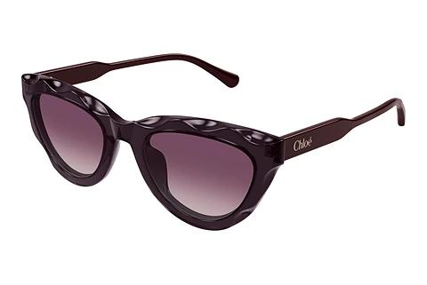 Solbriller Chloé CH0294S 002