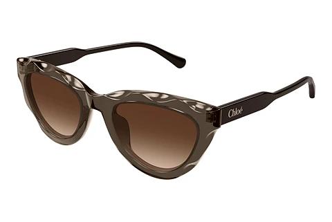 Solbriller Chloé CH0294S 003
