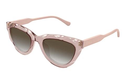 Solbriller Chloé CH0294S 004
