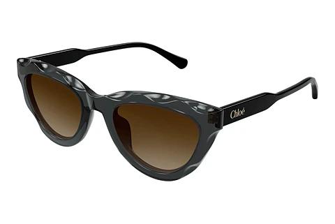Solbriller Chloé CH0294S 005