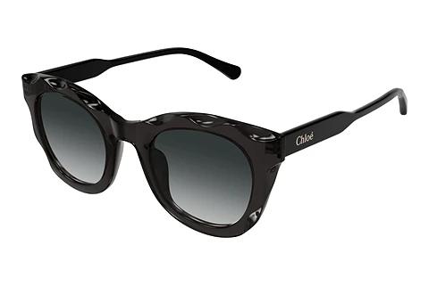 Solbriller Chloé CH0295S 001