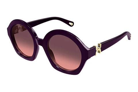 Solbriller Chloé CH0302S 005
