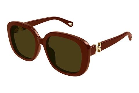 Solbriller Chloé CH0303SK 004