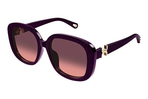 Solbriller Chloé CH0303SK 005