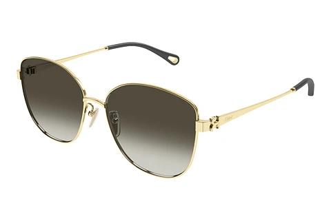 Solbriller Chloé CH0306SK 003