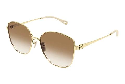 Solbriller Chloé CH0306SK 004