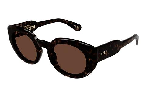 Solbriller Chloé CH0311S 002