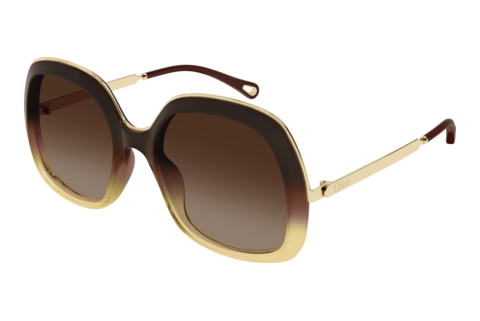Solbriller Chloé CH0327S 006
