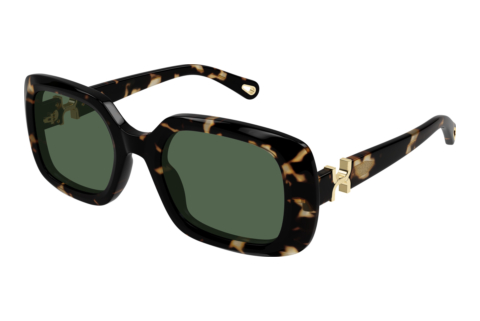 Solbriller Chloé CH0333S 002