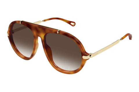 Solbriller Chloé CH0357S 002