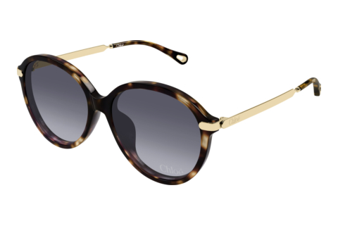 Solbriller Chloé CH0358SK 002