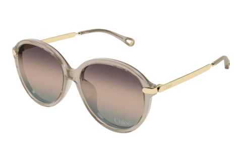 Solbriller Chloé CH0358SK 005