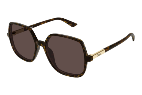 Solbriller Chloé CH0362S 002