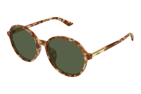 Solbriller Chloé CH0365SK 004