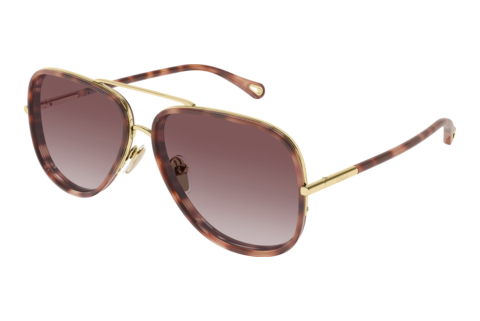 Solbriller Chloé CH0382S 004