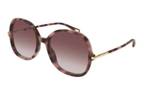 Solbriller Chloé CH0383S 004