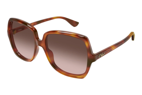 Solbriller Chloé CH0388S 002