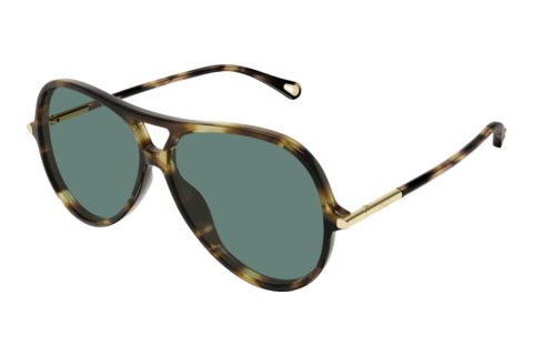 Solbriller Chloé CH0395S 002
