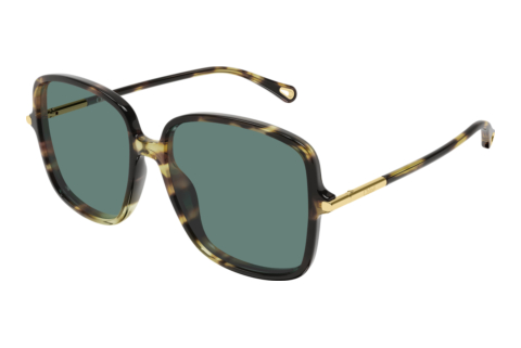Solbriller Chloé CH0396S 002