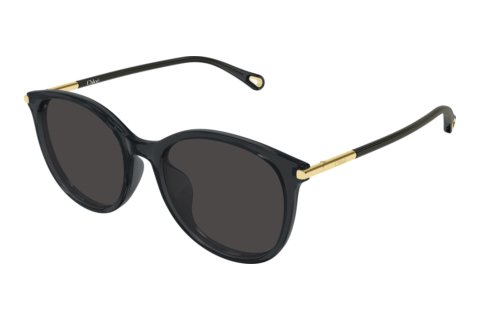 Solbriller Chloé CH0397SK 001